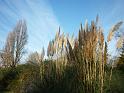 2011_12_London (173)